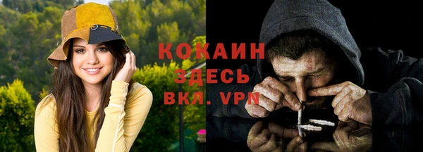 шишки Абинск