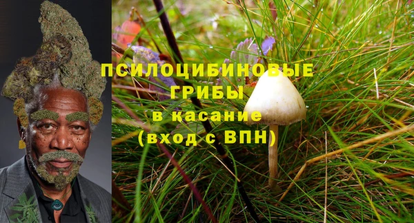 шишки Абинск
