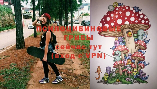 шишки Абинск