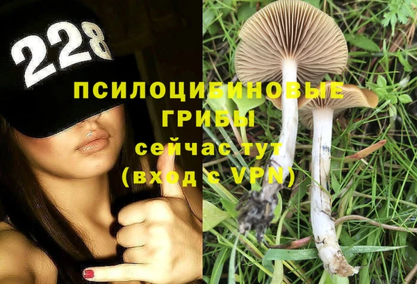 прущая мука Абаза