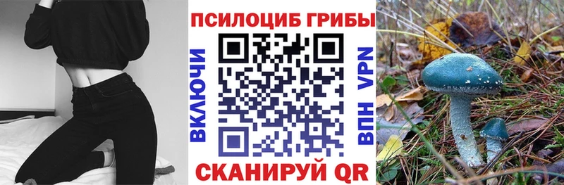 Псилоцибиновые грибы MAGIC MUSHROOMS  сколько стоит  Суоярви 